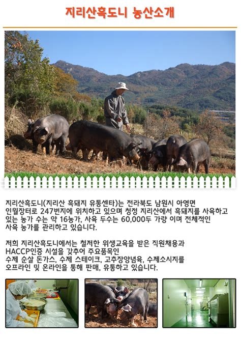 고원농산 영농조합법인 이미지