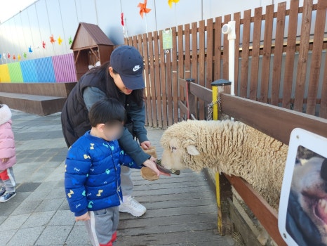 청라한화그린키즈어린이집 이미지