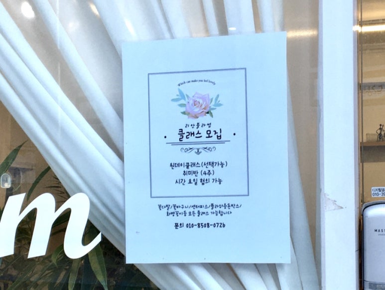리안블라썸 이미지