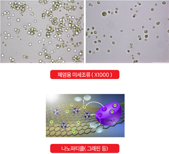 아토이엔씨 이미지