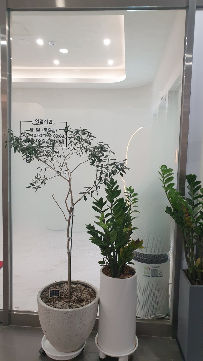 미가스킨케어 이미지