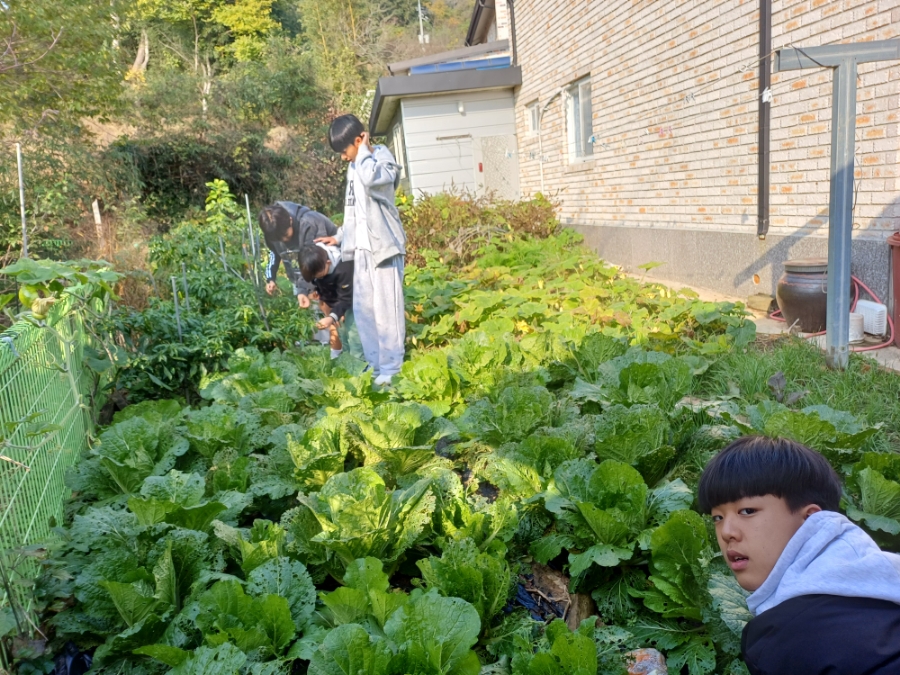 선화네푸소 이미지