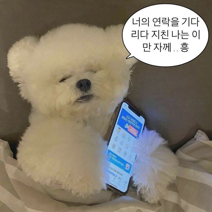 붙이다니 이미지