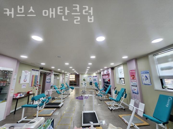 커브스시청클럽 이미지