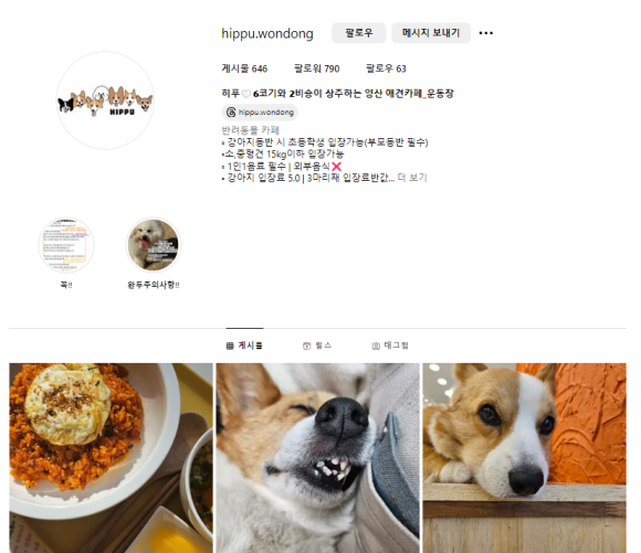 히푸(HIPPU) 이미지