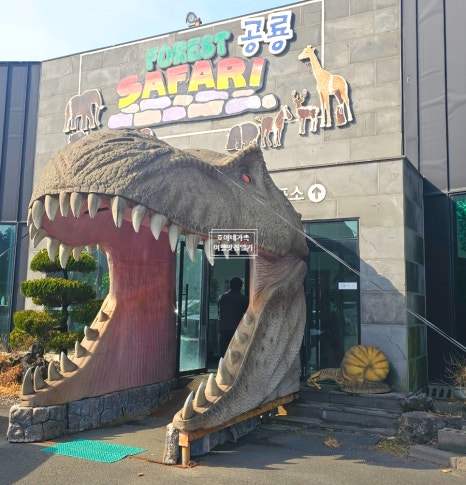 사파리체험테마파크 이미지