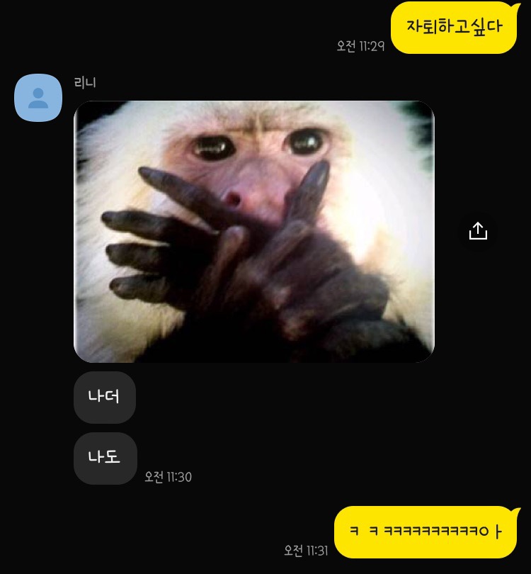 윤해지 이미지