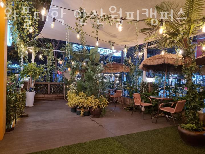 토리헤어 이미지