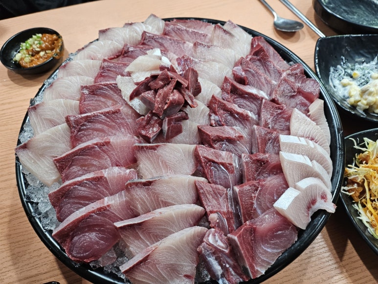 오징어바다 이미지