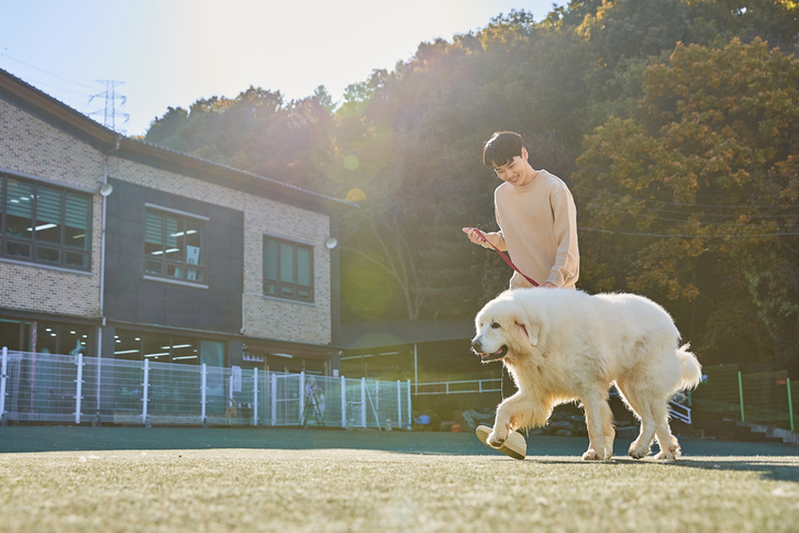 푸른안과의원 이미지