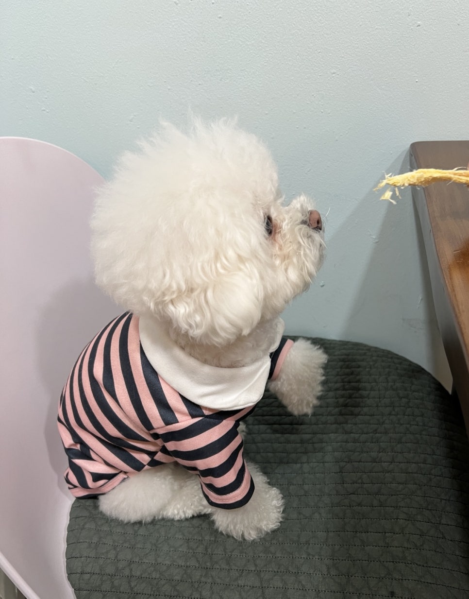 요거스츄로 이미지