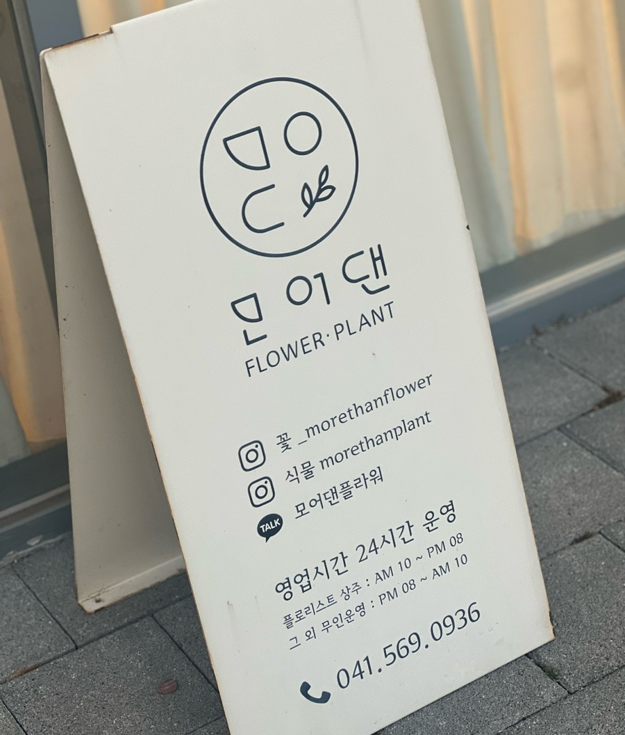 모어댄플라워 이미지