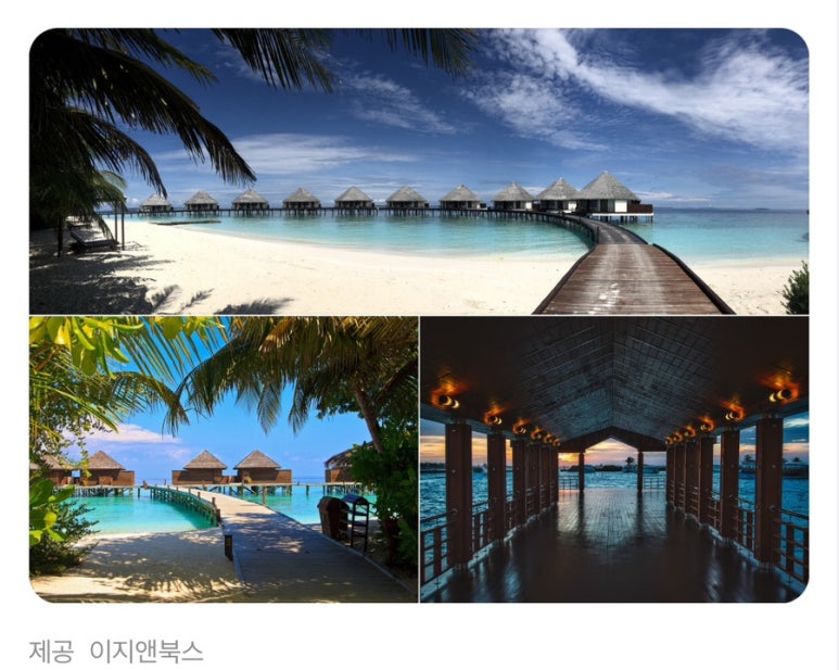 (주)블루문투어 이미지