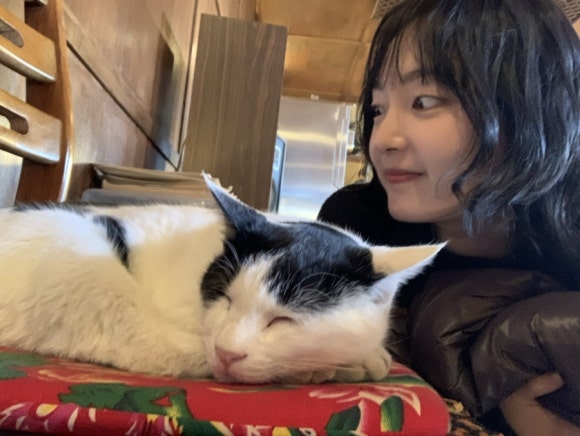 꼬엥 이미지