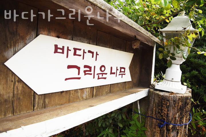 바다가그리운나무 이미지