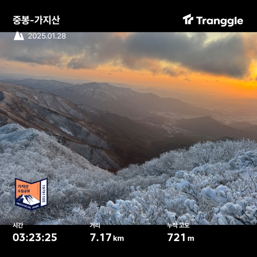 오르다모터스 이미지