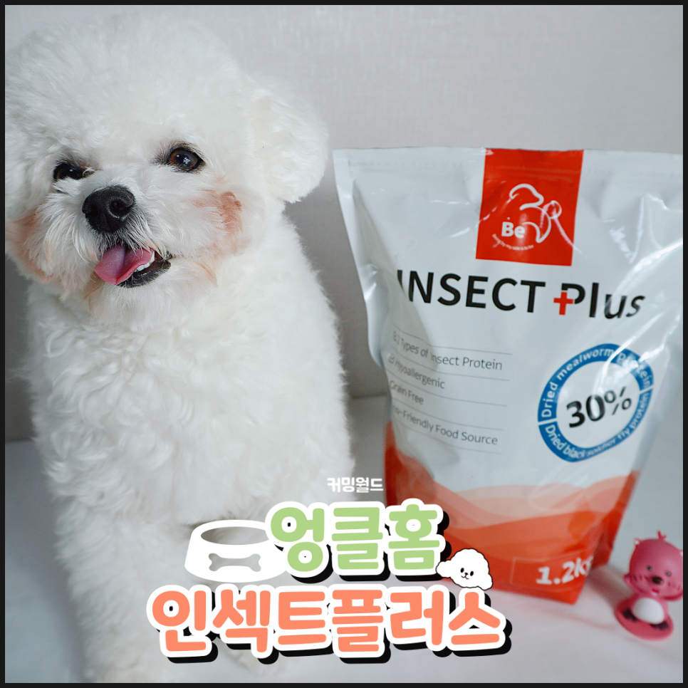 엉클플러스 이미지