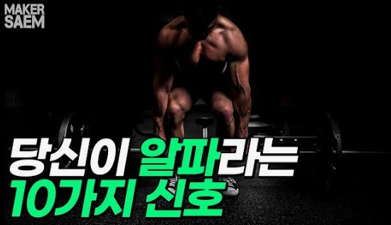 트랜스바디짐 이미지