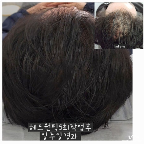 릿따 스타일 이미지