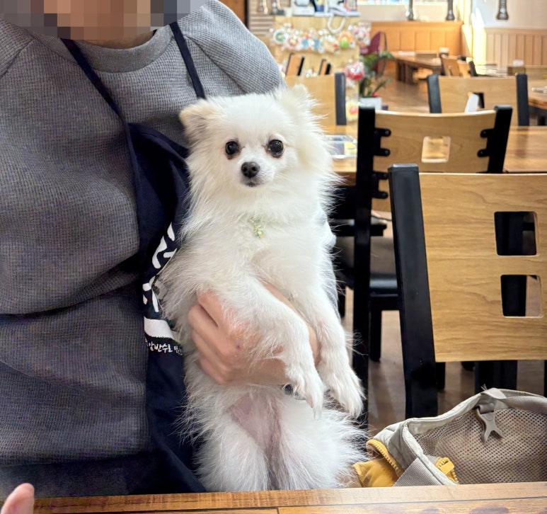 무진장숯불화로구이 이미지
