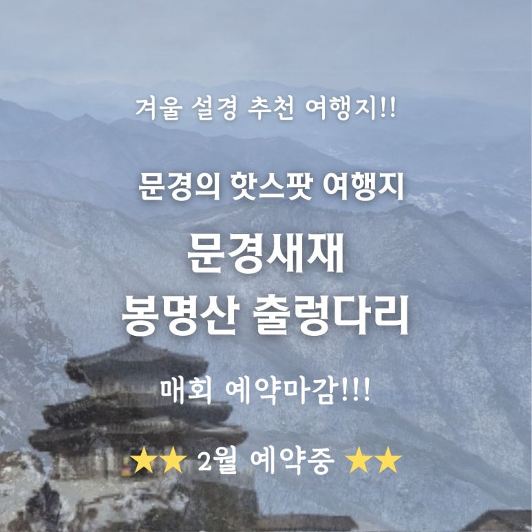 (주)에이스여행사 이미지