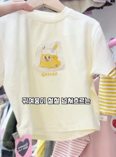 스프링데이 이미지