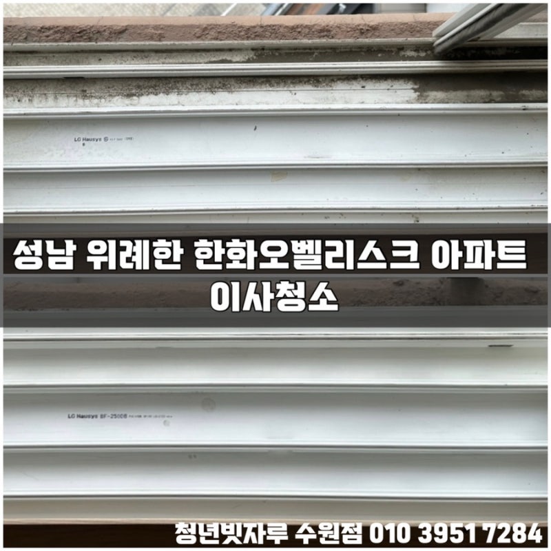 청년빗자루 이미지