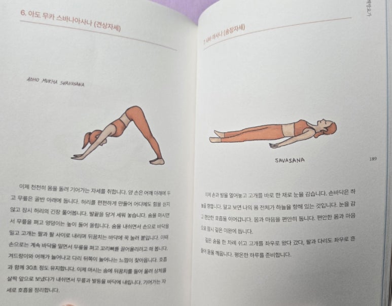 창대교육사 이미지