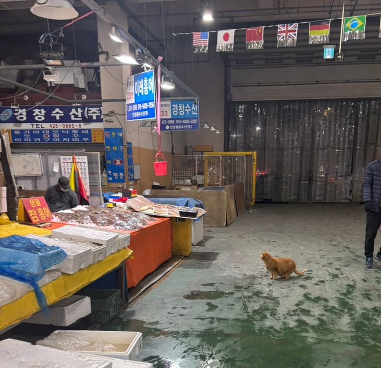 창대수산 이미지