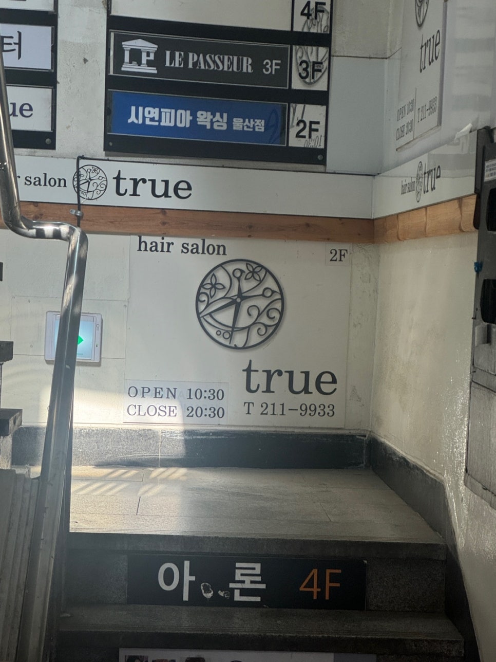 시연피아 이미지