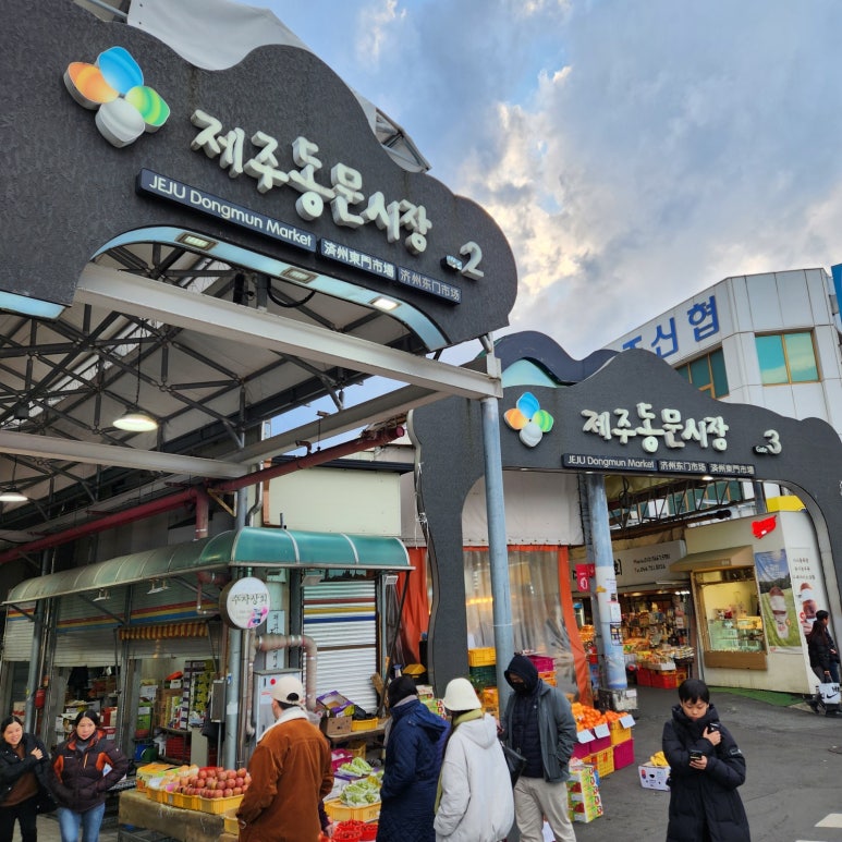 고수참치 이미지