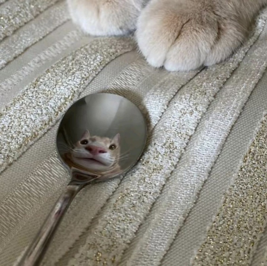 리얼헤어 이미지