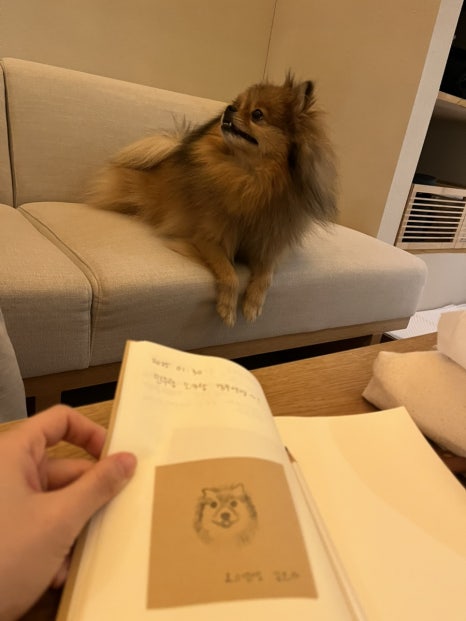 한옥스테이 볕볕 이미지