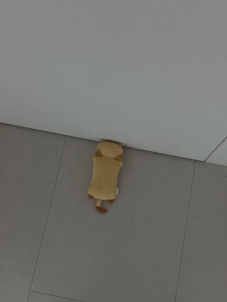 네일호디에 이미지