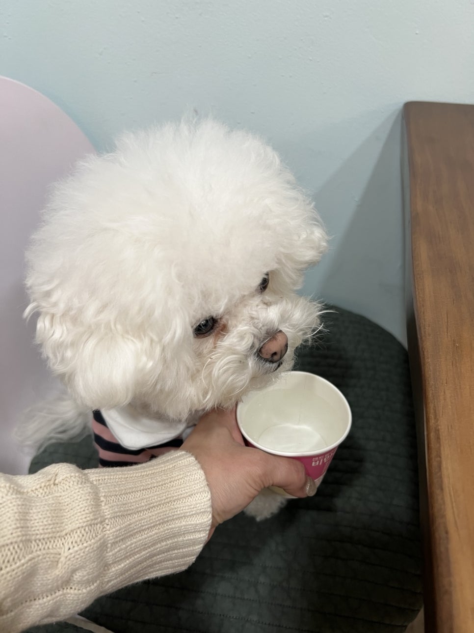 요거스츄로 이미지