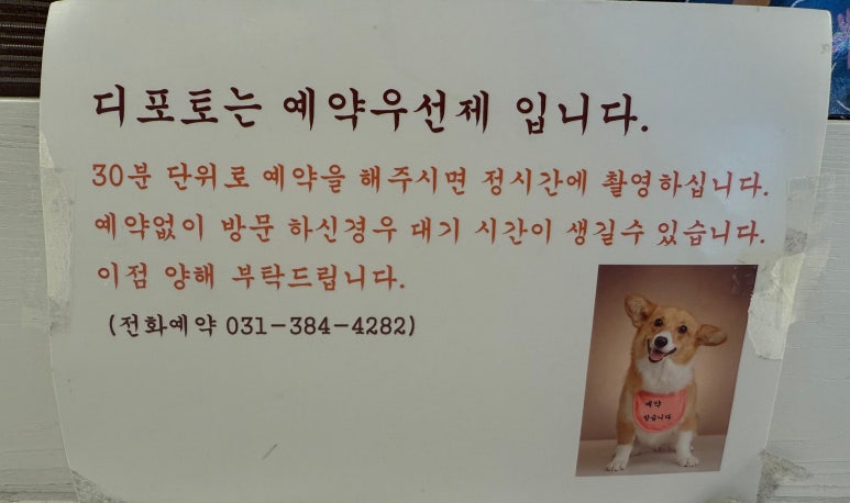포샵디포토 이미지