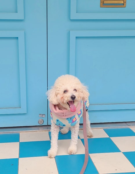 포인테커피 이미지