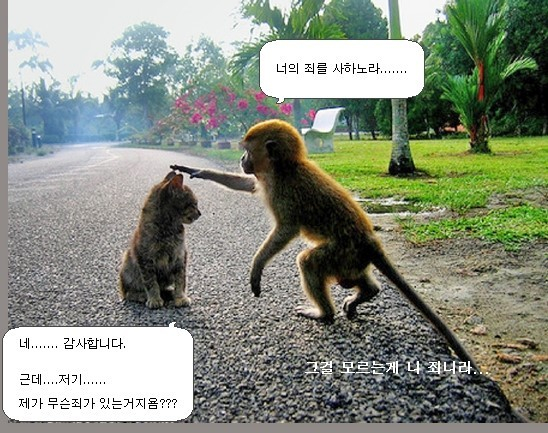 먹고사는이야기 이미지