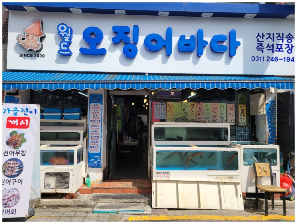 오징어바다 이미지