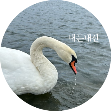 오블릭스 이미지