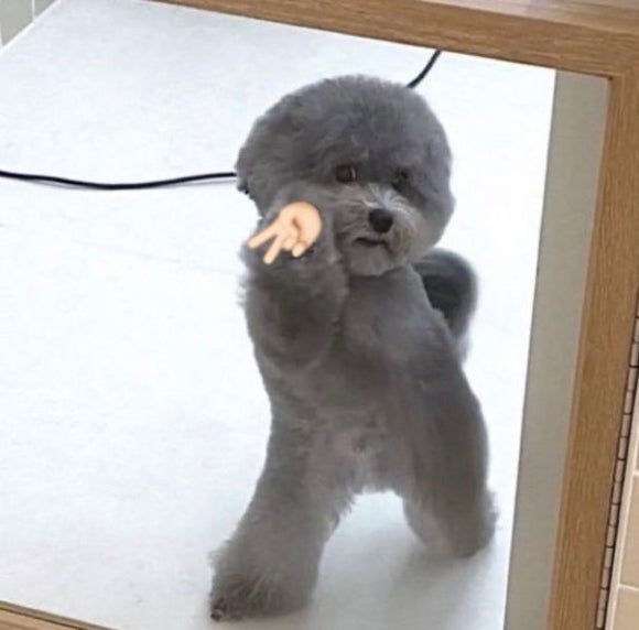 온무드 이미지