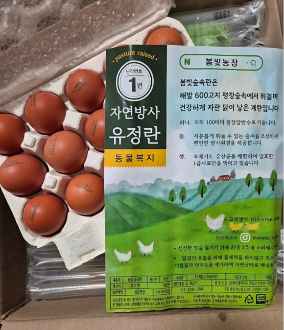 봄빛이야기 이미지