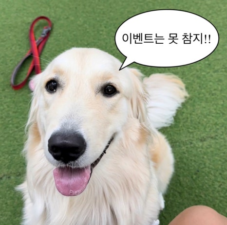 알로하탠 이미지