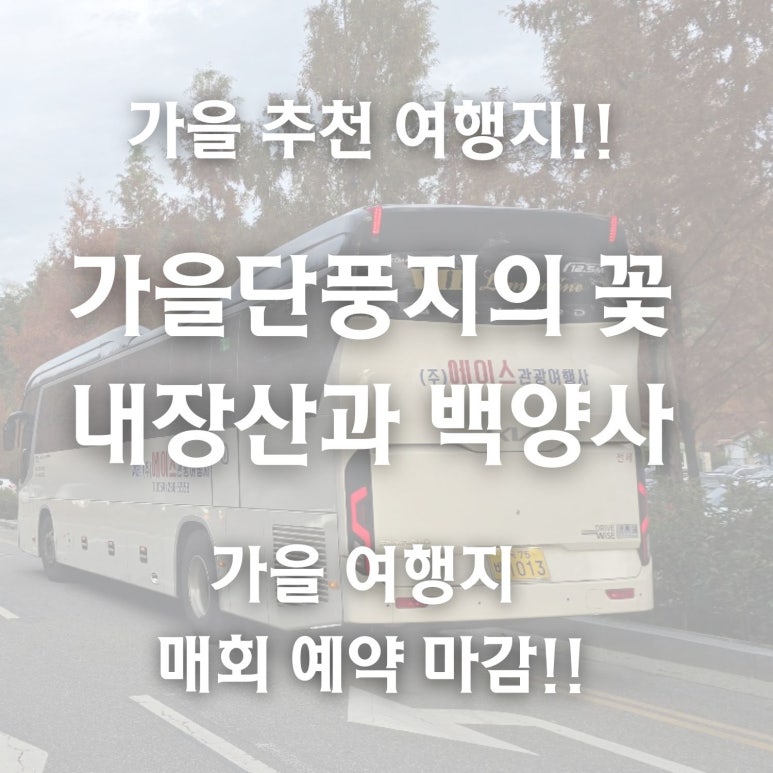 (주)테마여행사 이미지