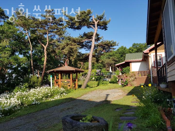 강화쑥쑥펜션 이미지