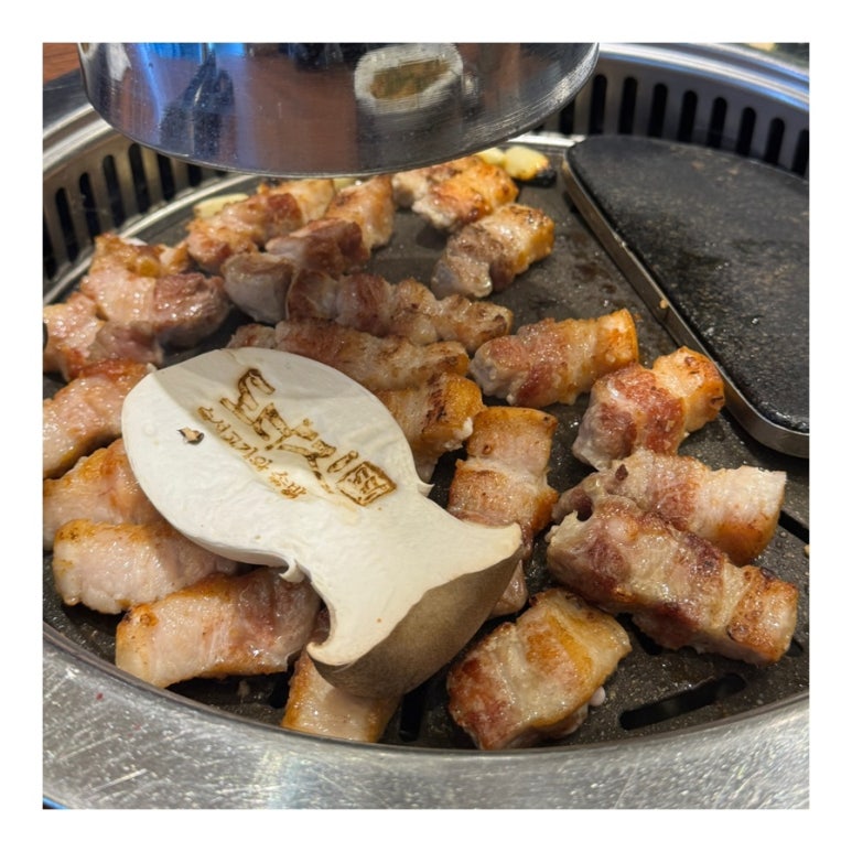 도다지 이미지