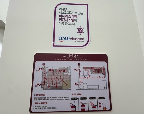 피터패터 이미지
