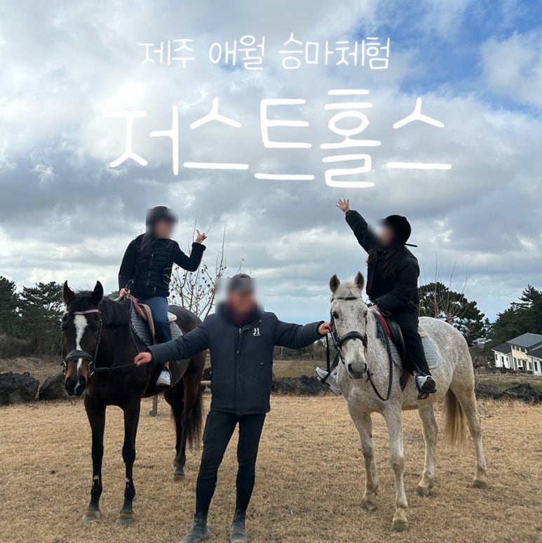 저스트홀스 이미지