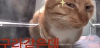 우리방 이미지