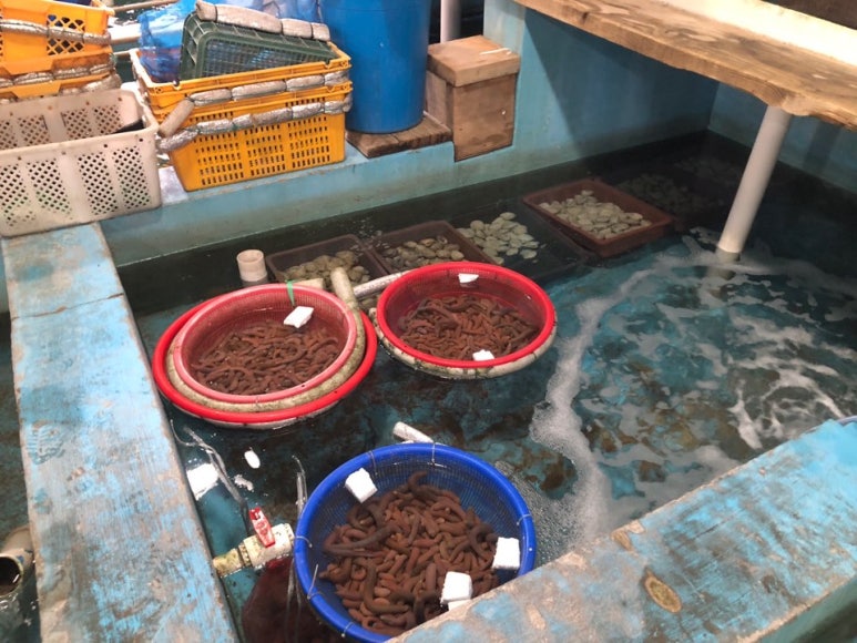 수산물도소매쎈터 이미지